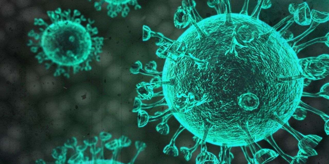 Exigen a la OMS investigar el origen del Covid-19