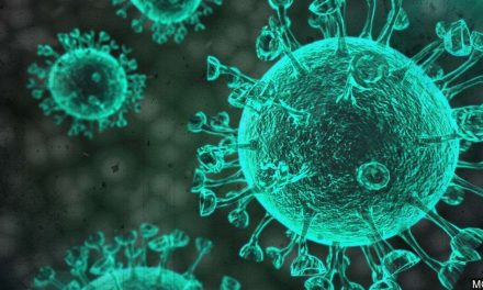 Exigen a la OMS investigar el origen del Covid-19