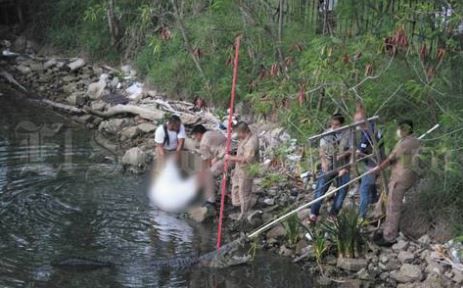 VIDEO. Cocodrilo mata a mujer que lavaba ropa en Tamaulipas