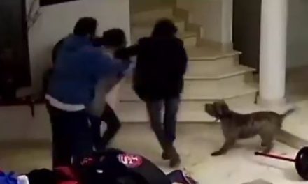 VIDEO. Funcionario del INAI es captado golpeando a dos mujeres
