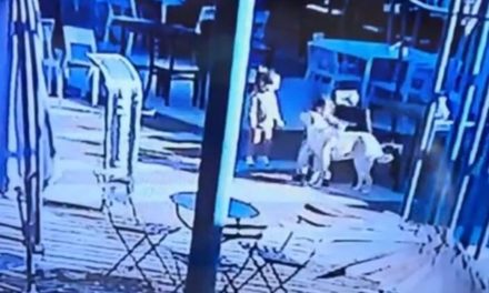 VIDEO. Padre mata a perrito para «salvar» a su hijo y crea polémica