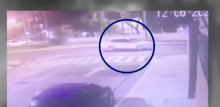 VIDEO. Captan a Polly debajo del auto que la arrolló en CDMX