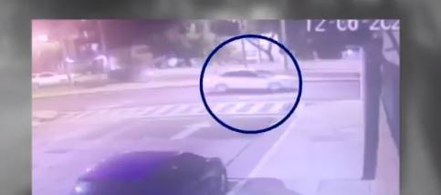 VIDEO. Captan a Polly debajo del auto que la arrolló en CDMX