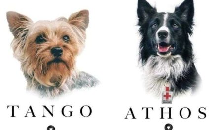 Catean domicilio de quien envenenó a perros rescatistas