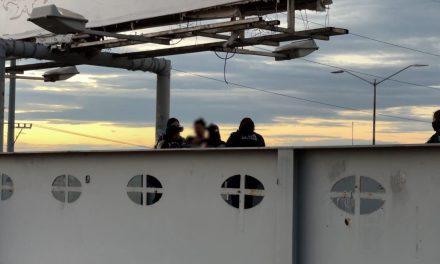 Violetas salvan a mujer que intentaba suicidarse en Saltillo