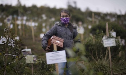Siembran tres mil árboles con cenizas de víctimas de Covid en Colombia