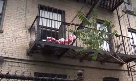 Lanza a sus hijos por la ventana y luego salta intentando suicidarse