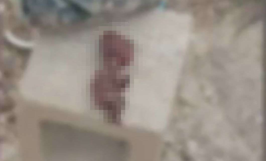 Feto encontrado en panteón fue desenterrado por perros en Saltillo