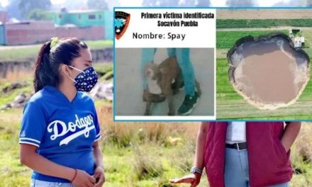 VIDEO. «Vale más la vida de un humano»: Dijo Protección Civil a dueña de perro caído en socavón