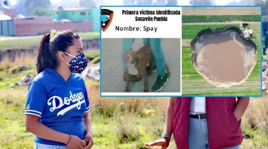 VIDEO. «Vale más la vida de un humano»: Dijo Protección Civil a dueña de perro caído en socavón