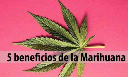 5 beneficios de la Marihuana