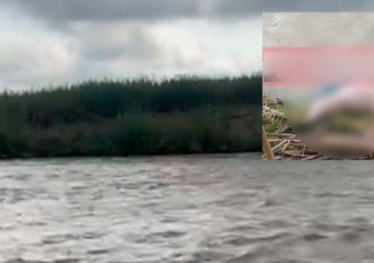 Encuentran bebita mutilada en Río Bravo, se presume ataque de cocodrilo