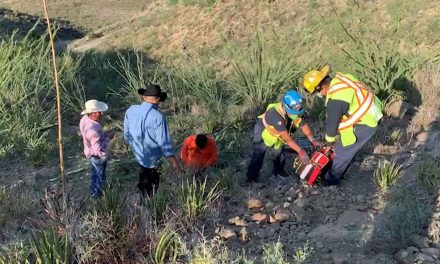 Hombre termina la parranda en barranco en Saltillo