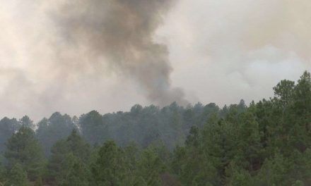 Inician trabajos de restauración en la Pinalosa luego de incendio