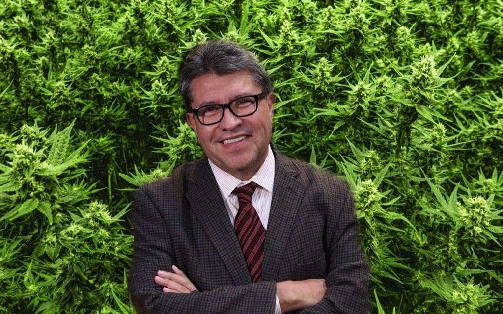 VIDEO: Calma, apaga el churro, esto es lo que falta para que la mariguana sea legal en México