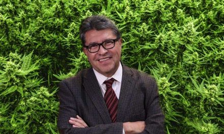 VIDEO: Calma, apaga el churro, esto es lo que falta para que la mariguana sea legal en México