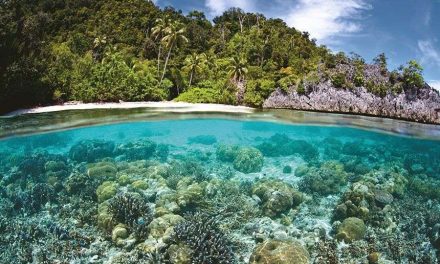 Hoy es el Día Mundial del Medio Ambiente ¿Qué es y por qué se celebra?