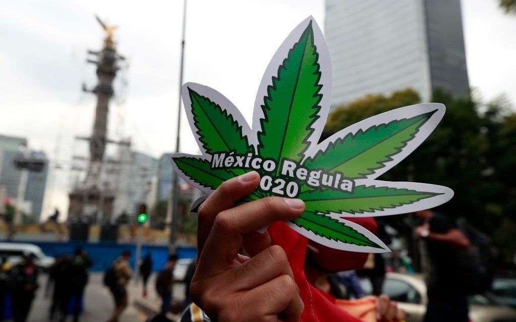 Analizan en SCJN uso lúdico de la marihuana