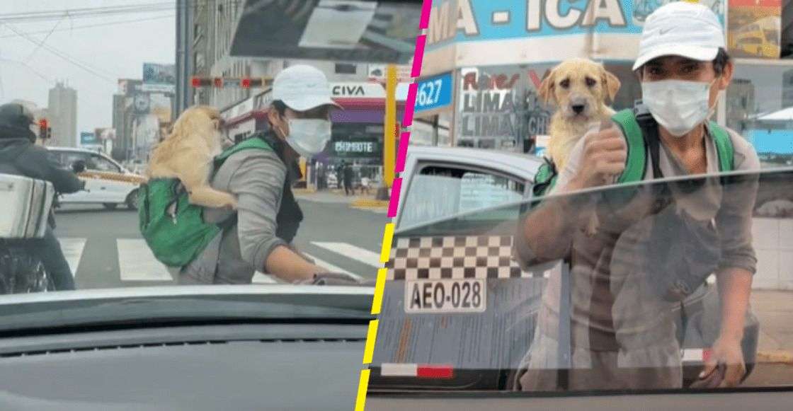 ¡Cuero! Sale a trabajar con su perrito en la espalda
