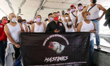 Disuelven grupo de ‘autodefensa electoral’