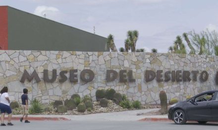 Museo del Desierto ha tenido un buen año a pesar de la pandemia