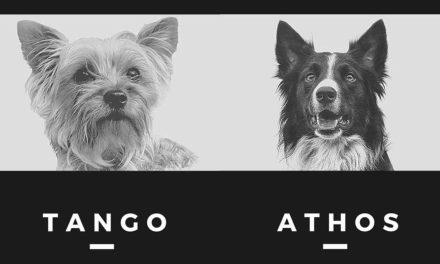 Hasta 5 años de cárcel enfrentaría envenenador de perros rescatistas en Querétaro