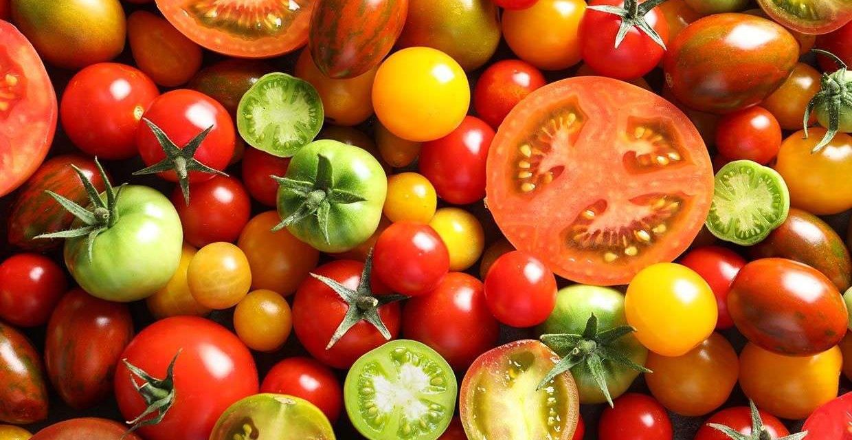 Seis variedades de tomates que alguna vez has comido y no lo sabías