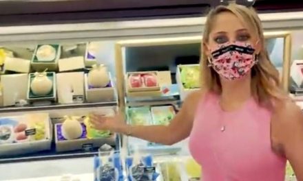 ¡Corre por tu visa! Vamos a comprar melones de mil pesos a Japón