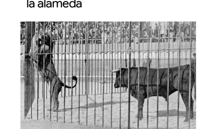 Cosas increíbles que pasaron en Saltillo