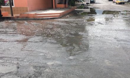 Brotan aguas negras de una alcantarilla en colonia de Saltillo