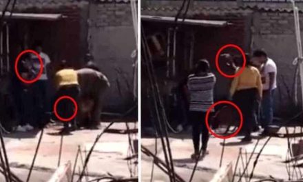 Familia descarga su ira matando brutalmente a un perrito que estaba encadenado