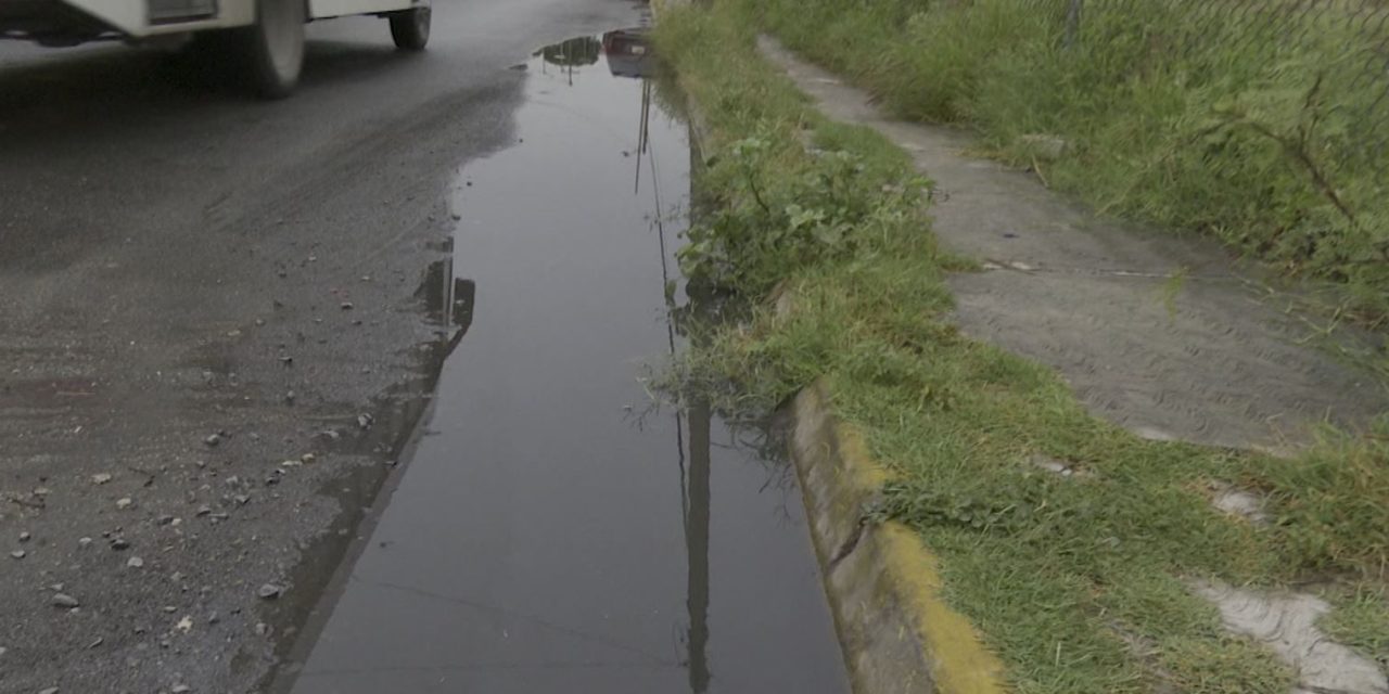 Ocho casos de dengue en Región Sureste