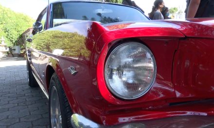 Expo de Autos Clásicos  del 10 y 11 de Julio en el Parque Las Maravillas