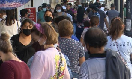 Casi lista aplicación “Mujer Segura” del Poder Judicial de Coahuila