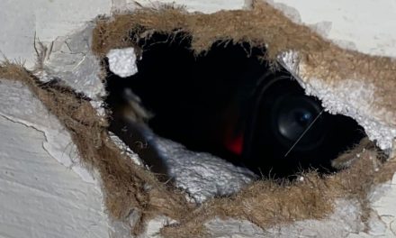 Denuncian cámaras escondidas dentro de baño de mujeres en bar de Zacatecas