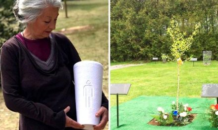 Crean el primer cementerio ecológico