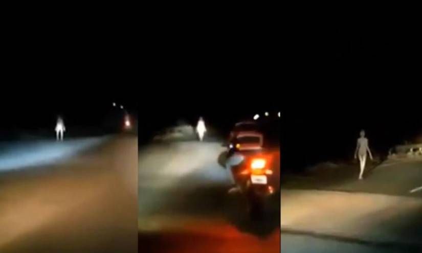 Extraña criatura de largas extremidades es captada en India (VIDEO)