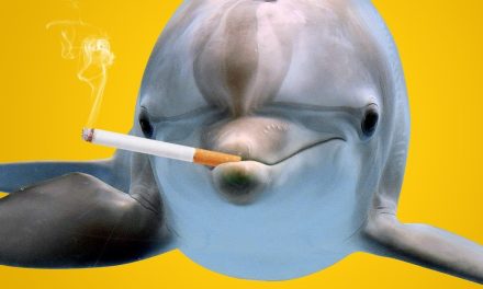 Delfín que ‘fuma’ bajo el agua se convierte en estrella