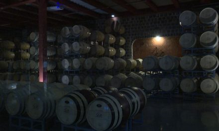 Cancelan Feria de la Uva y el Vino en Parras