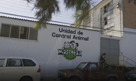Promueven cuidado de las mascotas en Ramos Arizpe