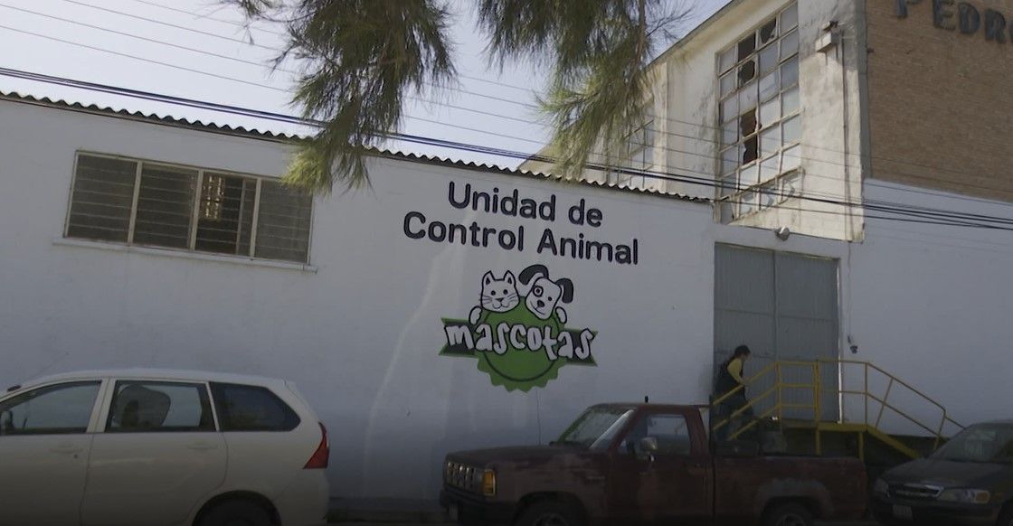 Promueven cuidado de las mascotas en Ramos Arizpe