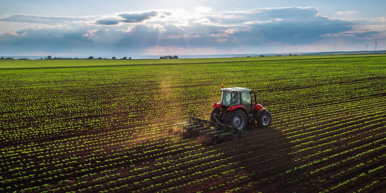 Diputada pide apoyos para el campo de Coahuila