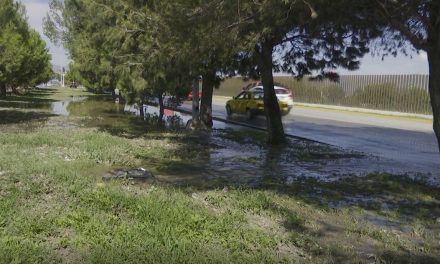 Inundan aguas negras al Centro Metropolitano