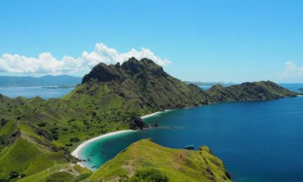 Construirán ‘Jurassic Park’ en isla protegida de Indonesia