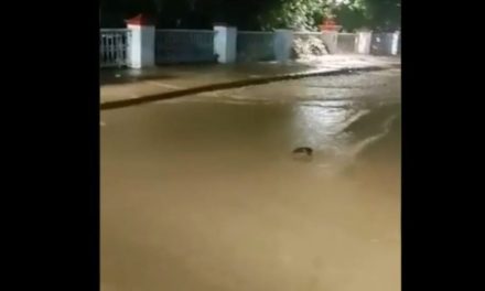 ‘¡Ya valió Bertha’;! hombre grita ante río desbordado en Puerto Vallarta (video)