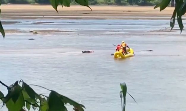 ¡No estaba muerto, solo tomaba una siesta! (video)
