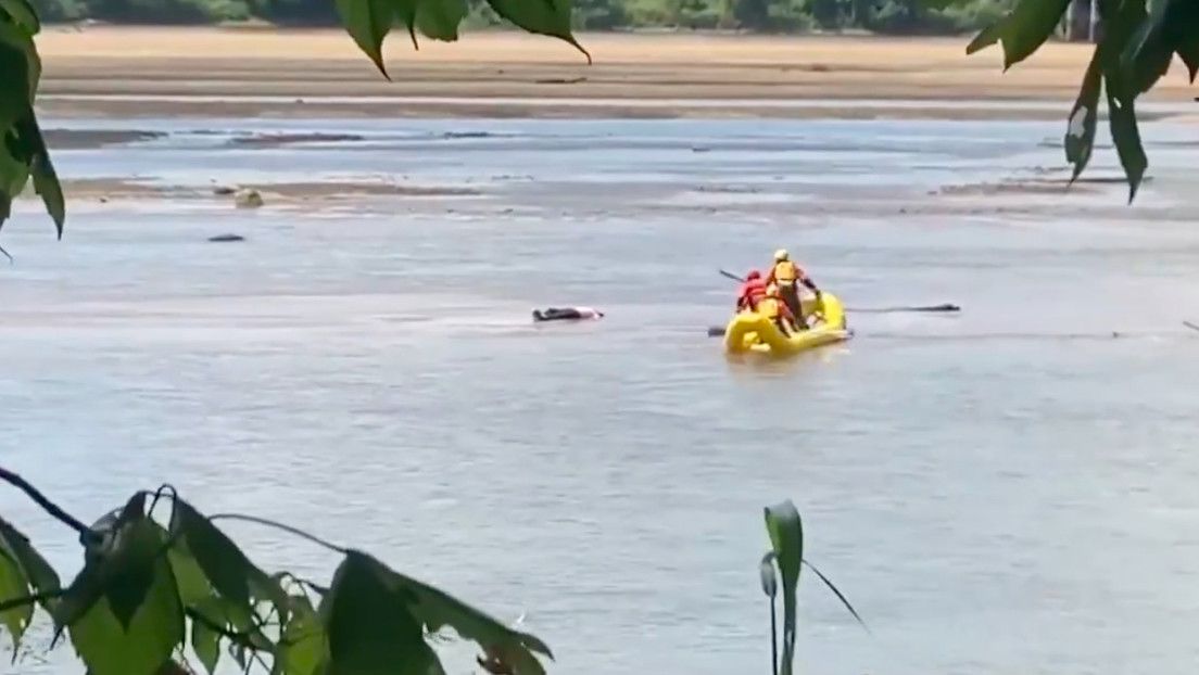 ¡No estaba muerto, solo tomaba una siesta! (video)