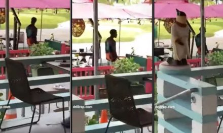 Mata a padre de familia en restaurante y baila junto a cadáver (video)