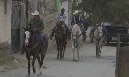 Estará ‘bajo lupa’ el control sanitario en cabalgata Santo Domingo-Sabinas