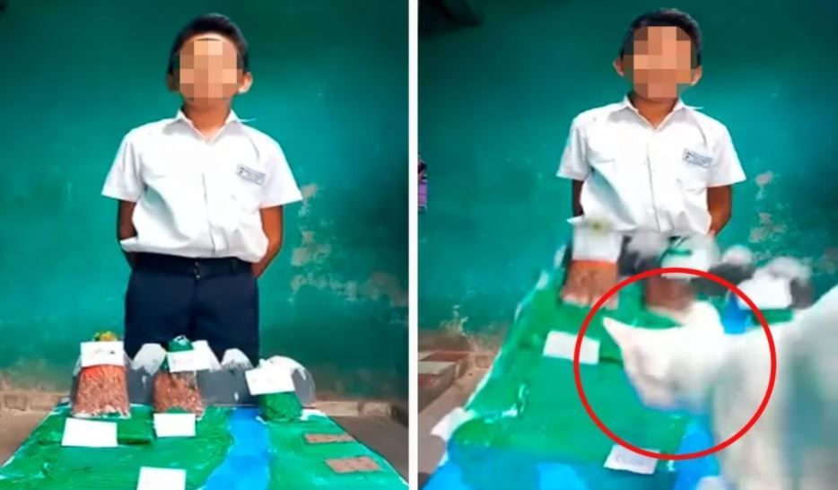 ¡Hijo de…! Gato arruina maqueta en plena exposición en línea  (video)